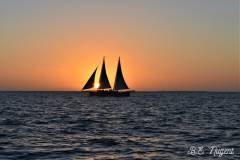 Sailing-photo-MR