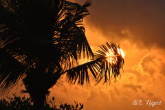 Sunrise-Key-West-photo-M-R-1
