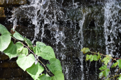 Waterfall-photo-MR